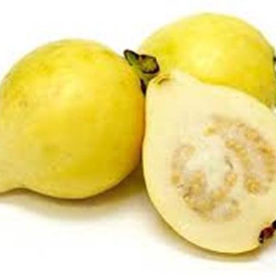 Guava