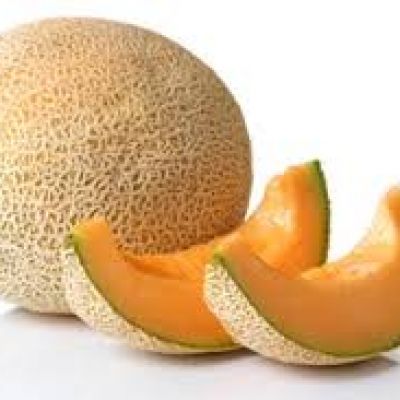 Cantaloup 