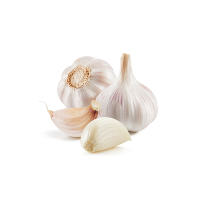 White Garlic 