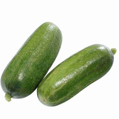 Cucumber 