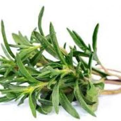 Thyme Fresh