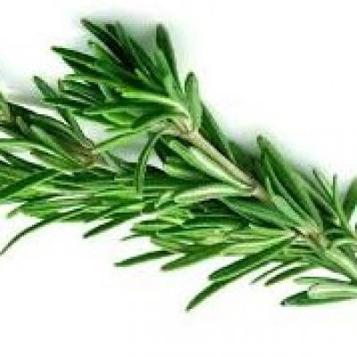 Rosemary