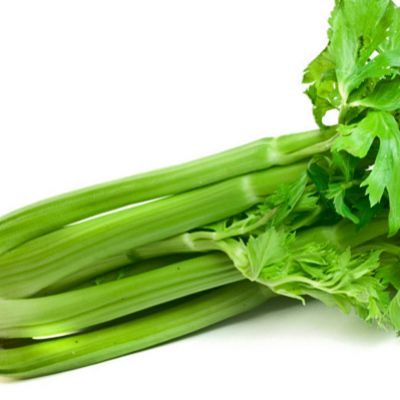 French celery