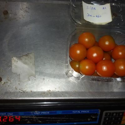 Cherry Tomato 