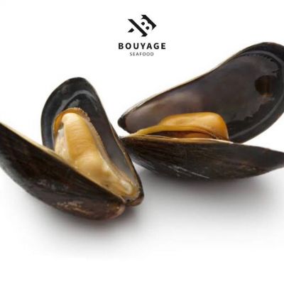 Mussels - Egyptian