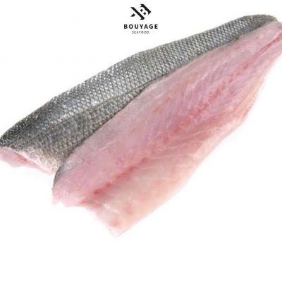 Sea Bass Fillet