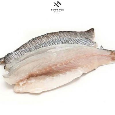 Sea Bream Fillet