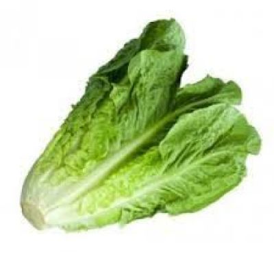 Lettuce 