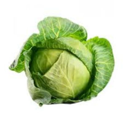 Cabbage 